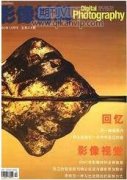 二维结合动态四维彩超检查在胎儿肢体畸形筛查中的应用研究