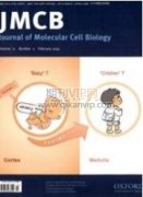 高中生物教学中小组合作学习策略