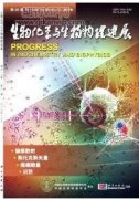高中生物学习困难的元认知成因及转化策略