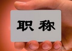 道路与桥梁连接处的设计与施工