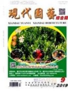 南京山岳风景与城市关系历史研究