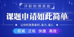 重大课题经费资助多少钱