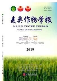 统计论文发表
