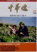 基层党组织工作中的形式主义分析及其整治