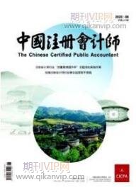 会计师职称论文