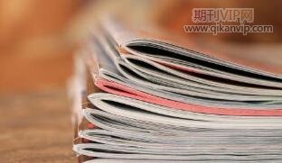 软件开发论文
