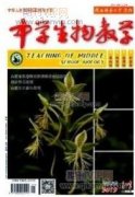 铁人王进喜纪念馆开展红色旅游文化的对策研究