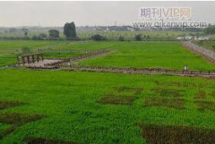 风景园林施工技术及养护措施的探讨