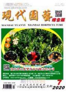 园林施工规划及施工细节处理