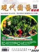 城市道路绿化景观园林设计及施工要点探析