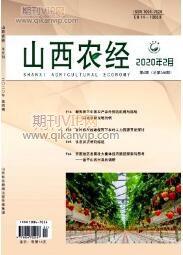 保险论文发表