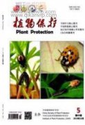 新疆白藓种子休眠原因及破除方法初探