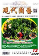 兰州夏季臭氧污染过程分析