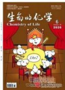 杂交榛子84-254和84-226在朝阳南部引种研究