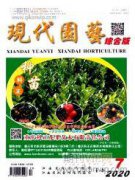 枯山水在庭园微景观设计中的应用