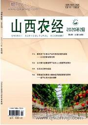 医疗保险论文