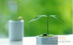 思维导图在职业学校生物教学中的应用分析
