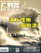 压电风扇散热特性的数值实验研究
