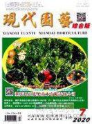 园林工程的进度与质量管理