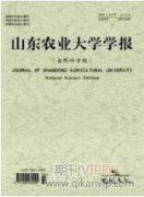 乡土材料在传统村落景观设计中的创新应用探析