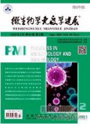 高中生物实验教学的创新策略探究