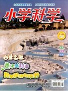 小学科学课程教学实现学生主动探究